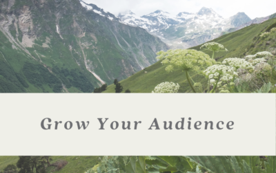 Remarketing Your Audience For Your Highest Reward